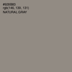#928B83 - Natural Gray Color Image